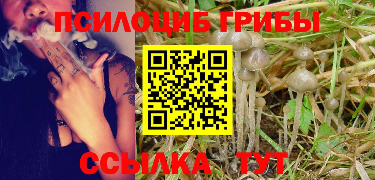 Гуково  Псилоцибиновые грибы Psilocybine cubensis  дарнет шоп  Вход с VPN  Галлюциногенные грибы Magic Shrooms 