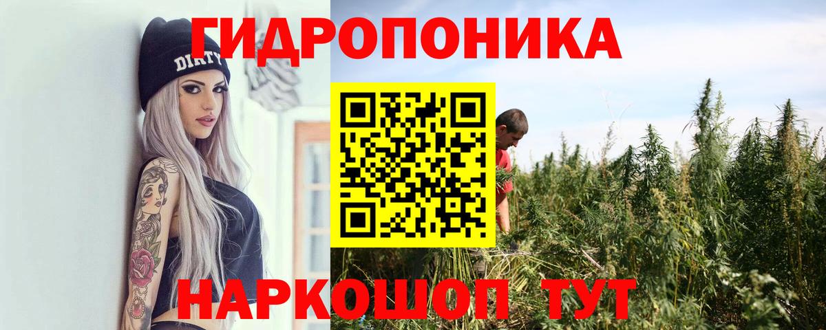 Бошки Шишки Bruce Banner Гуково